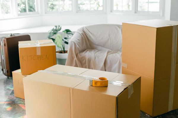 Guide Ultime : Choisir le Poêle à Bois Parfait pour Votre Maison